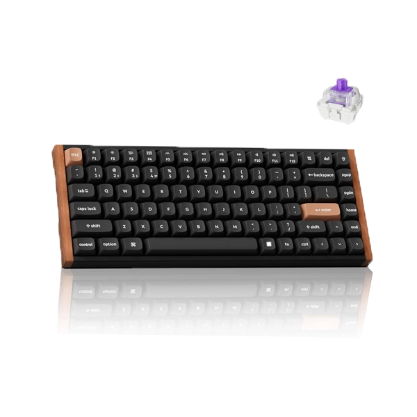 Keychron K2 HE 75% compact Wireless Magnetic Switch Black Keyboard